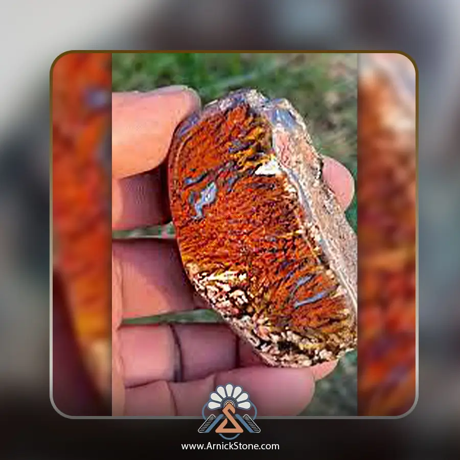 Plume-Agate-deposit-usa-1